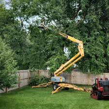 Reliable Hoquiam, WA Tree Care Solutions